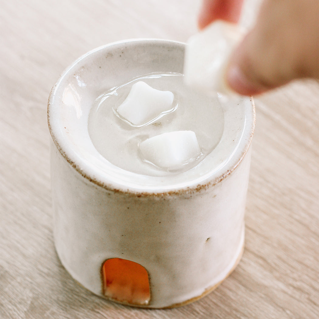 Nineteen Ninety-Six Coconut Soy Wax Melts | Well-Taylored Co.