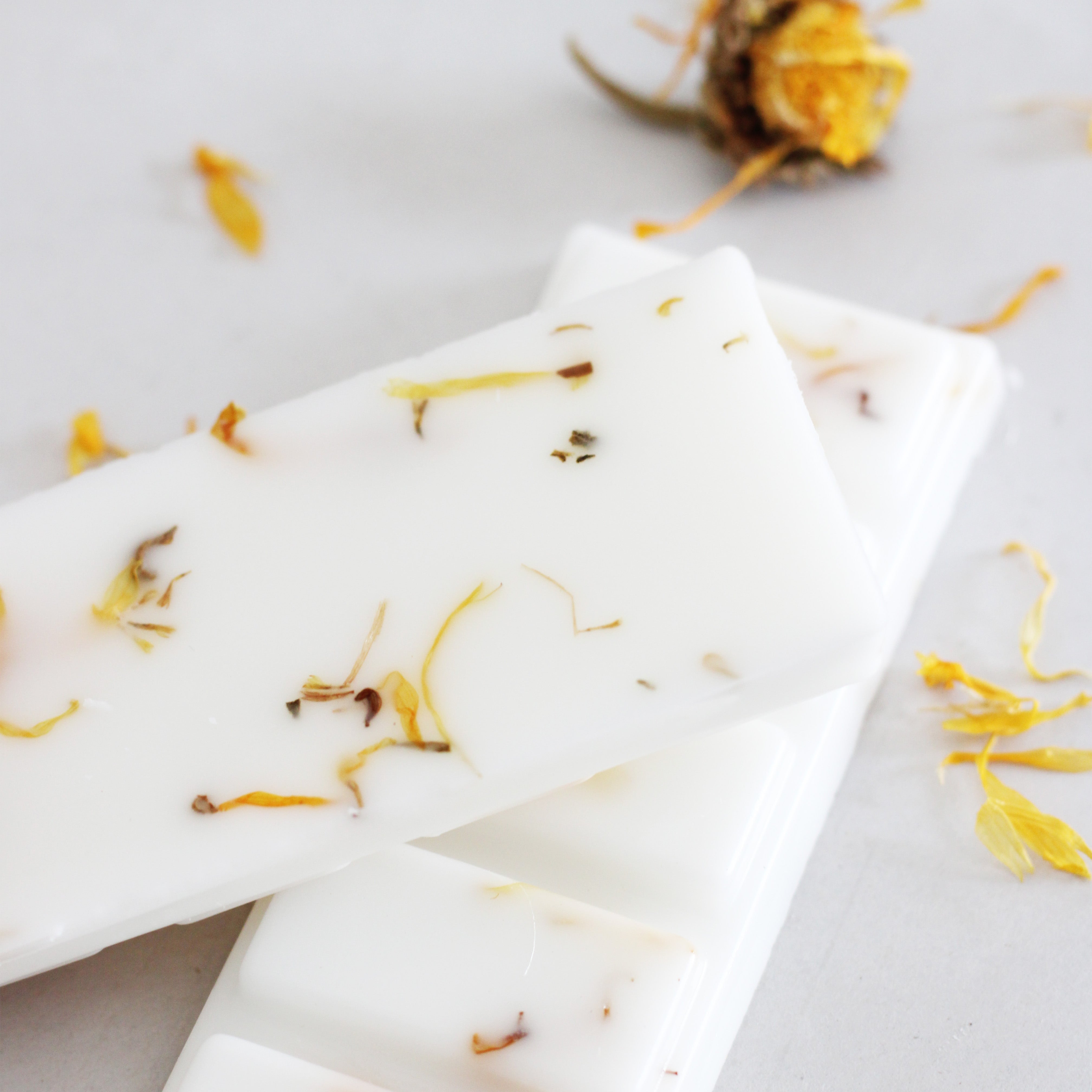 Haus Coconut Soy Wax Melts