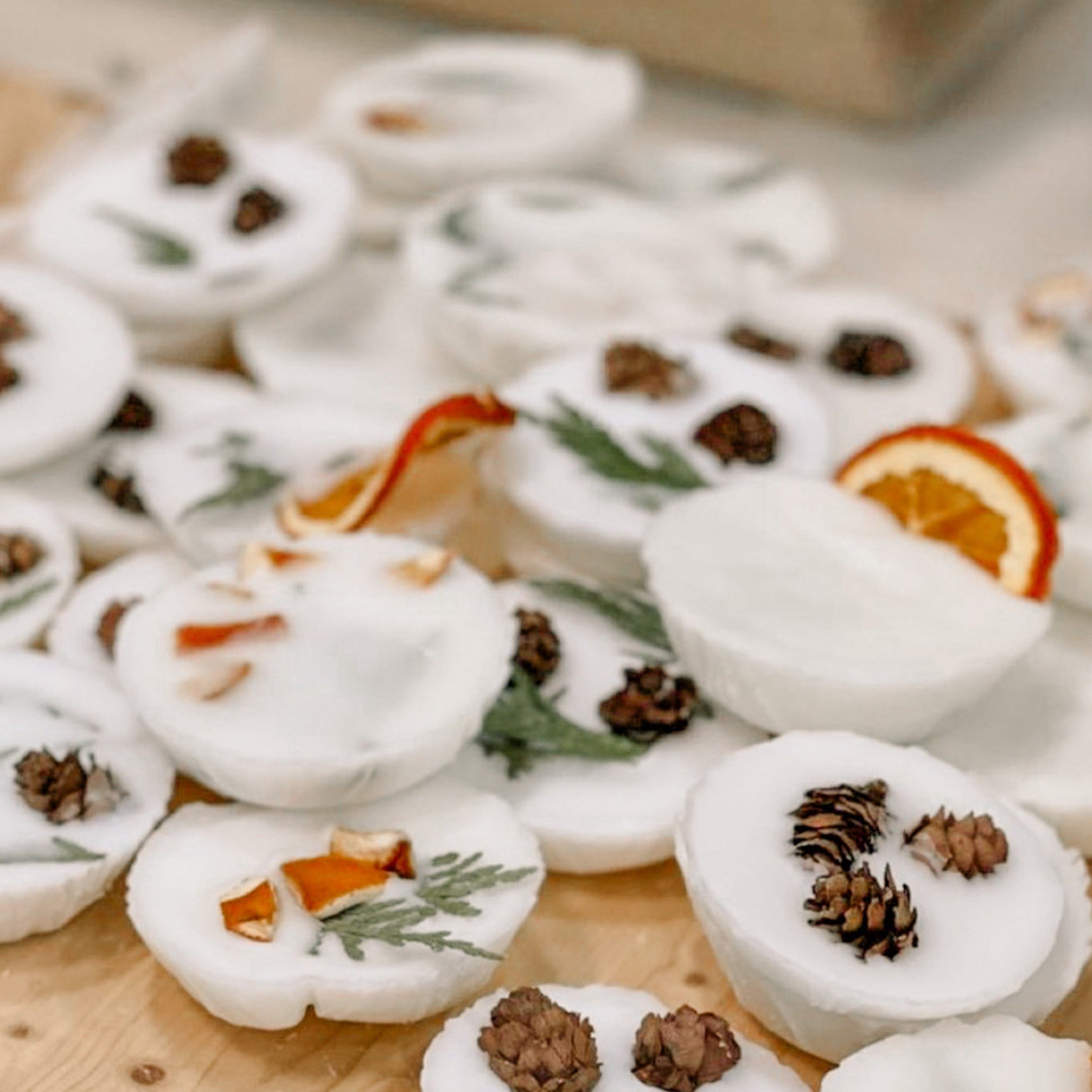 Foraged Coconut-Soy Wax Melts | Well-Taylored Co.